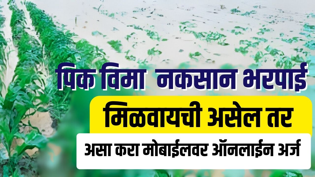 पिक विमा मिळवायचा असेल तर असा करा ऑनलाईन अर्ज  pik vima crop insurance 2023