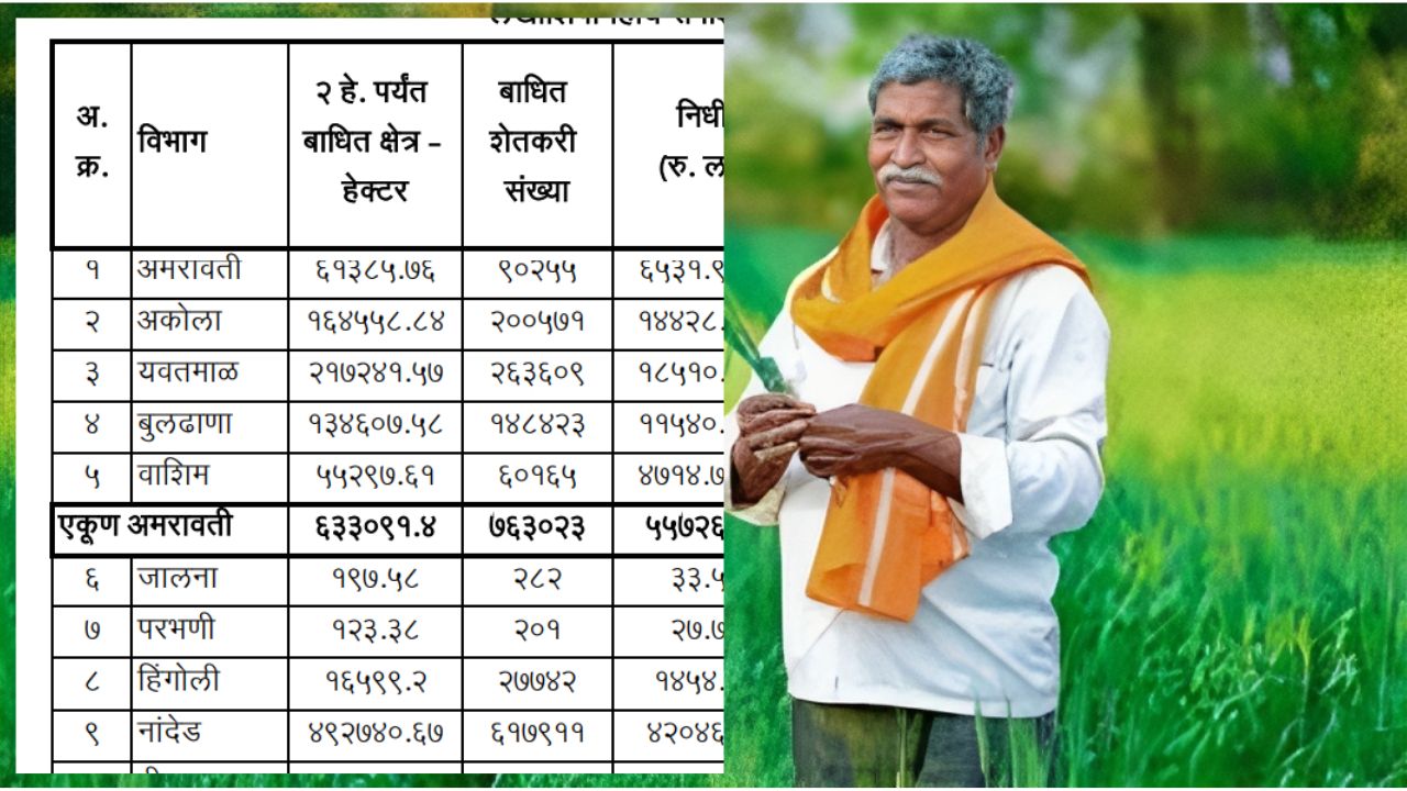 राज्यात 24 जिल्ह्यातील 2216 कोटी रुपयाचा पिक विमा मंजूर, पहा सविस्तर माहिती Crop Insurance Claim