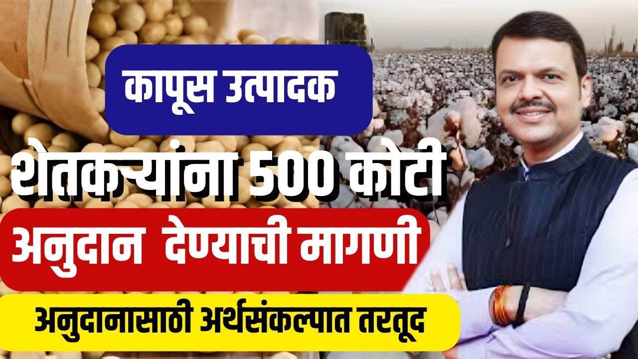 Cotton Subsidy : कापूस उत्पादकांना शेतकऱ्यांना ५०० कोटींचे अनुदान देण्याची मागणी