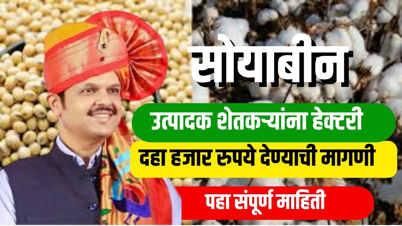 सोयाबीन उत्पादक शेतकऱ्यांना १० हजार रुपये मदत मिळणार ? Soybean Rate