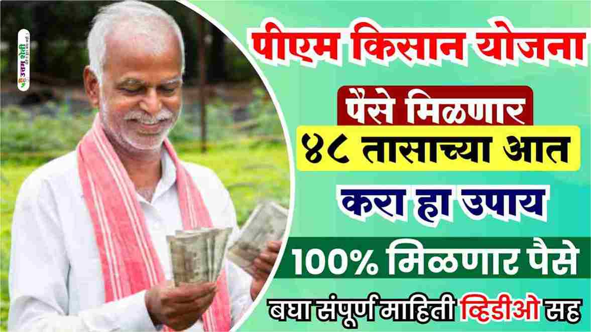 पीएम किसान योजना पैसे मिळत नसेल तर करा हा उपाय 100% मिळणार पैसे